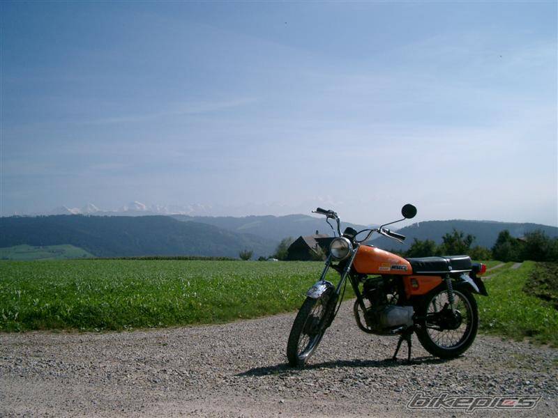 Photo 446552