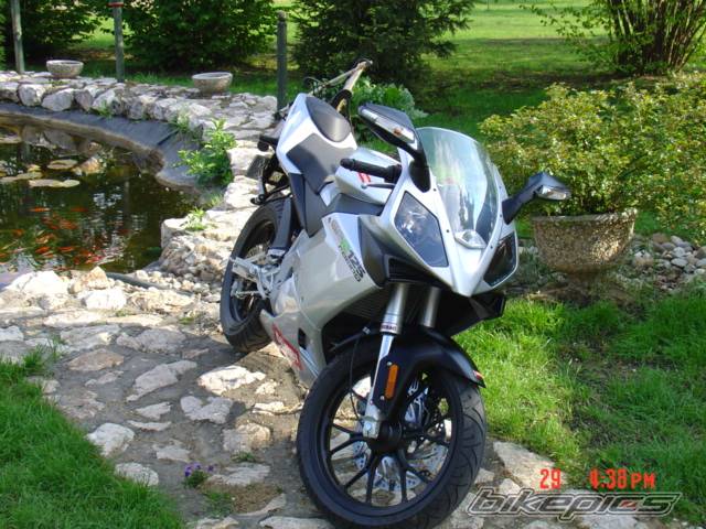 Photo 446596