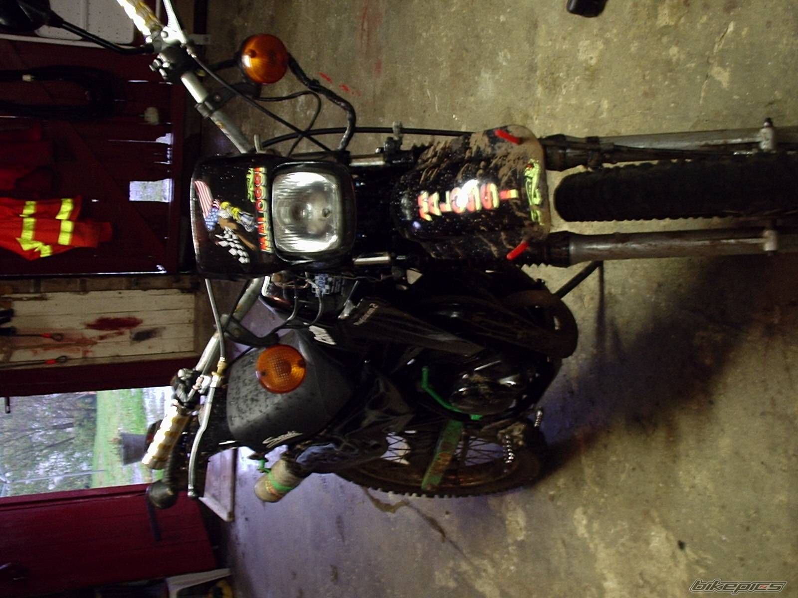 Bike Photo 446609
