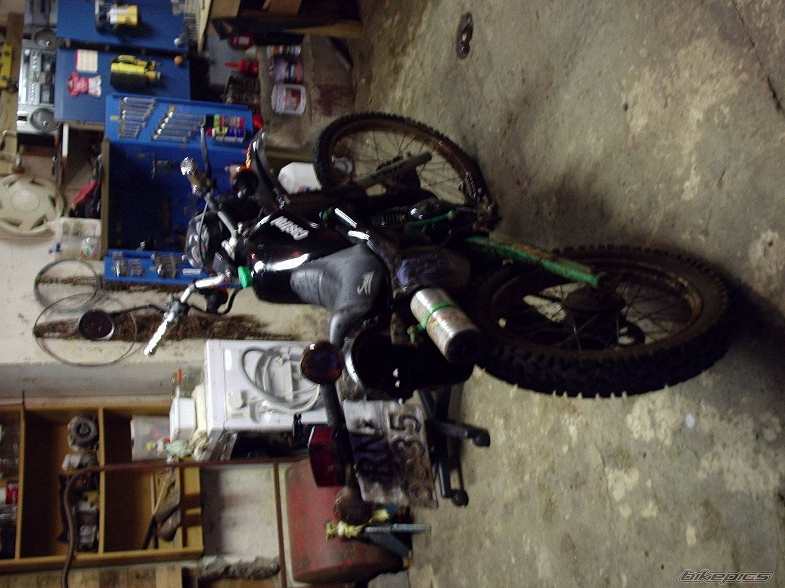 Photo 446621