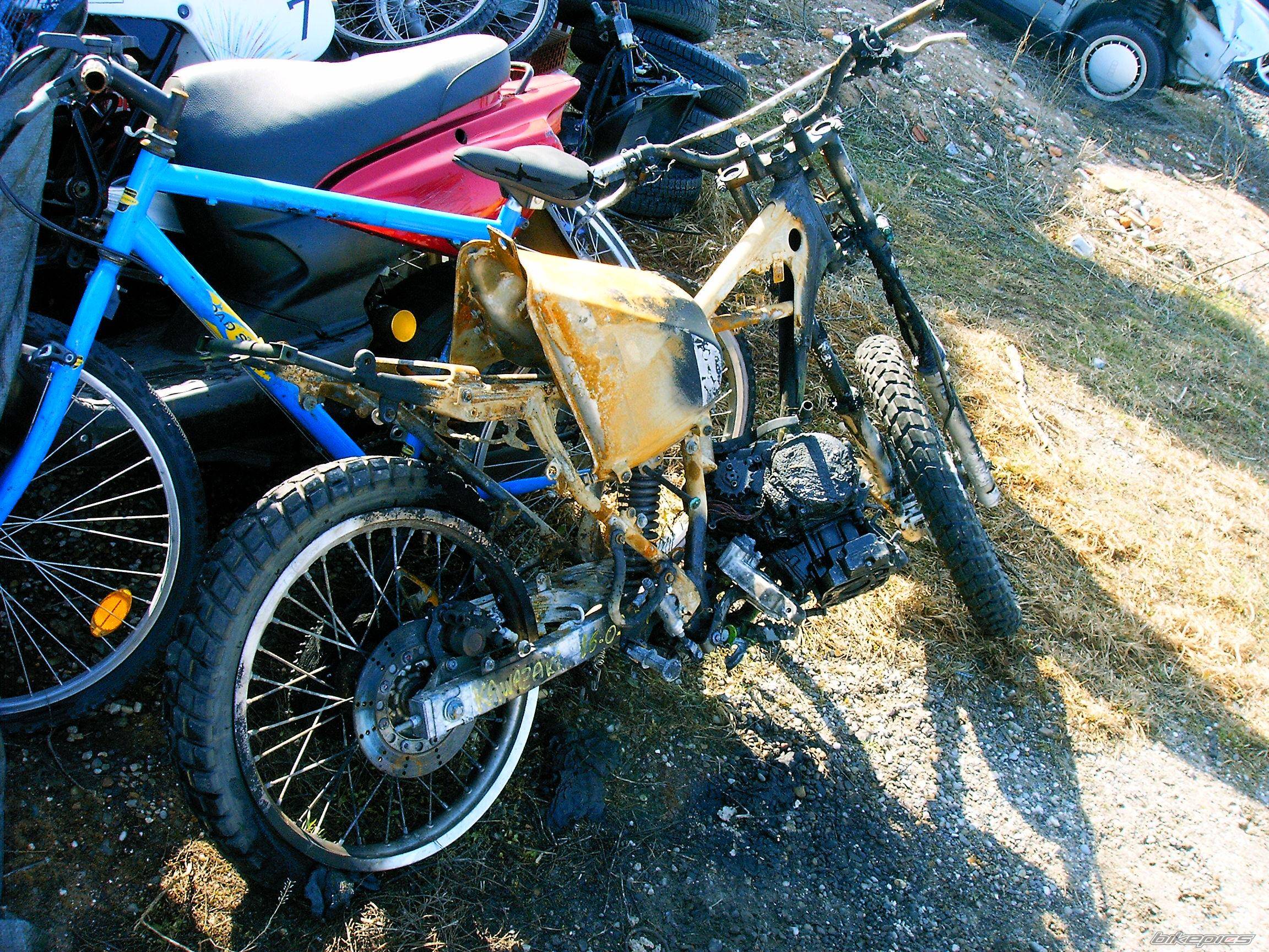 Bike Photo 446639