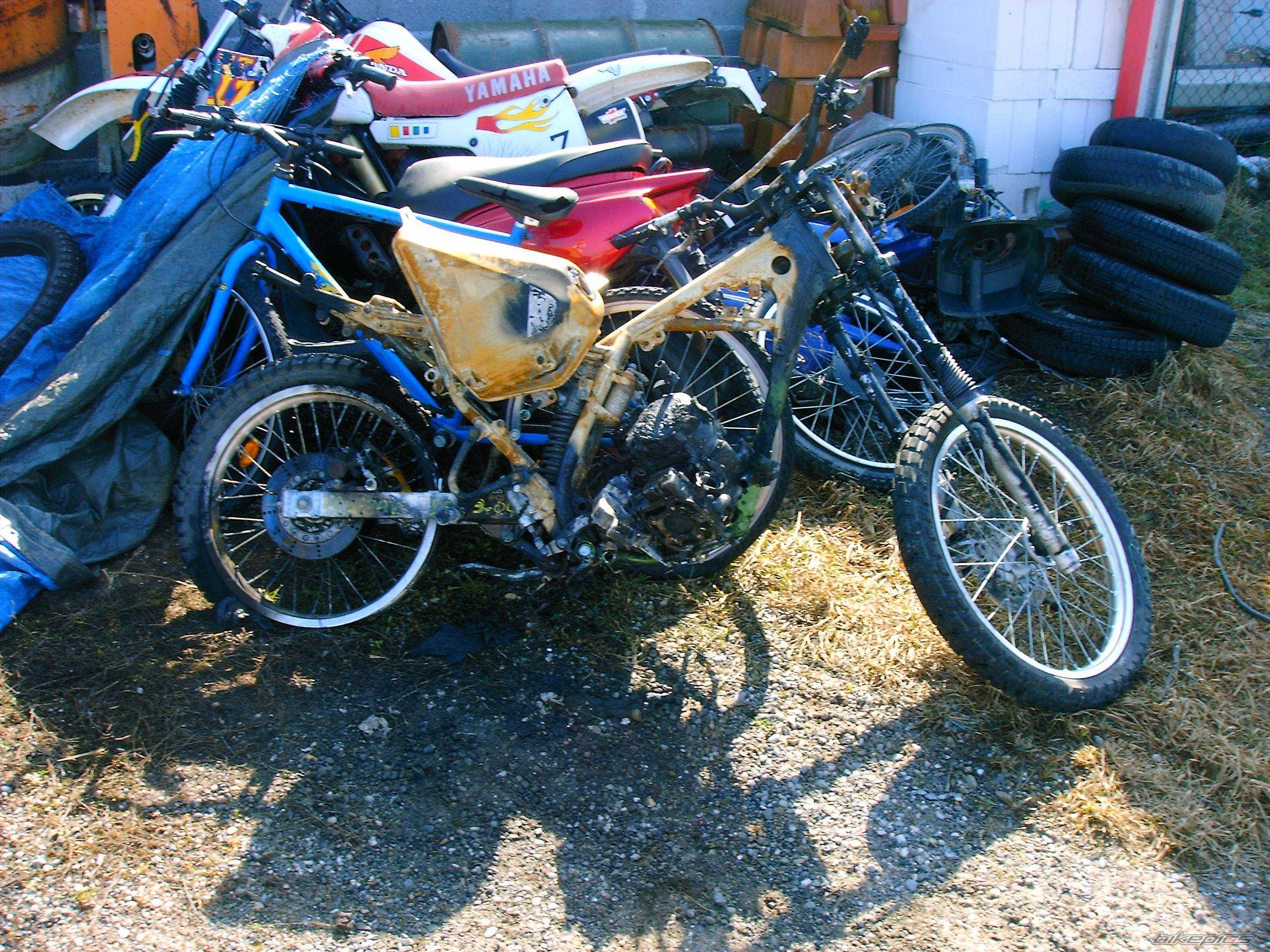 Bike Photo 446640