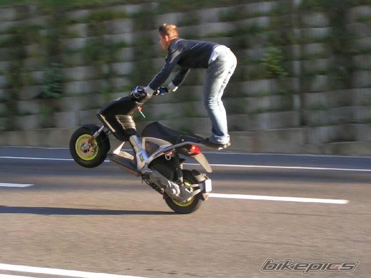 Photo 446652