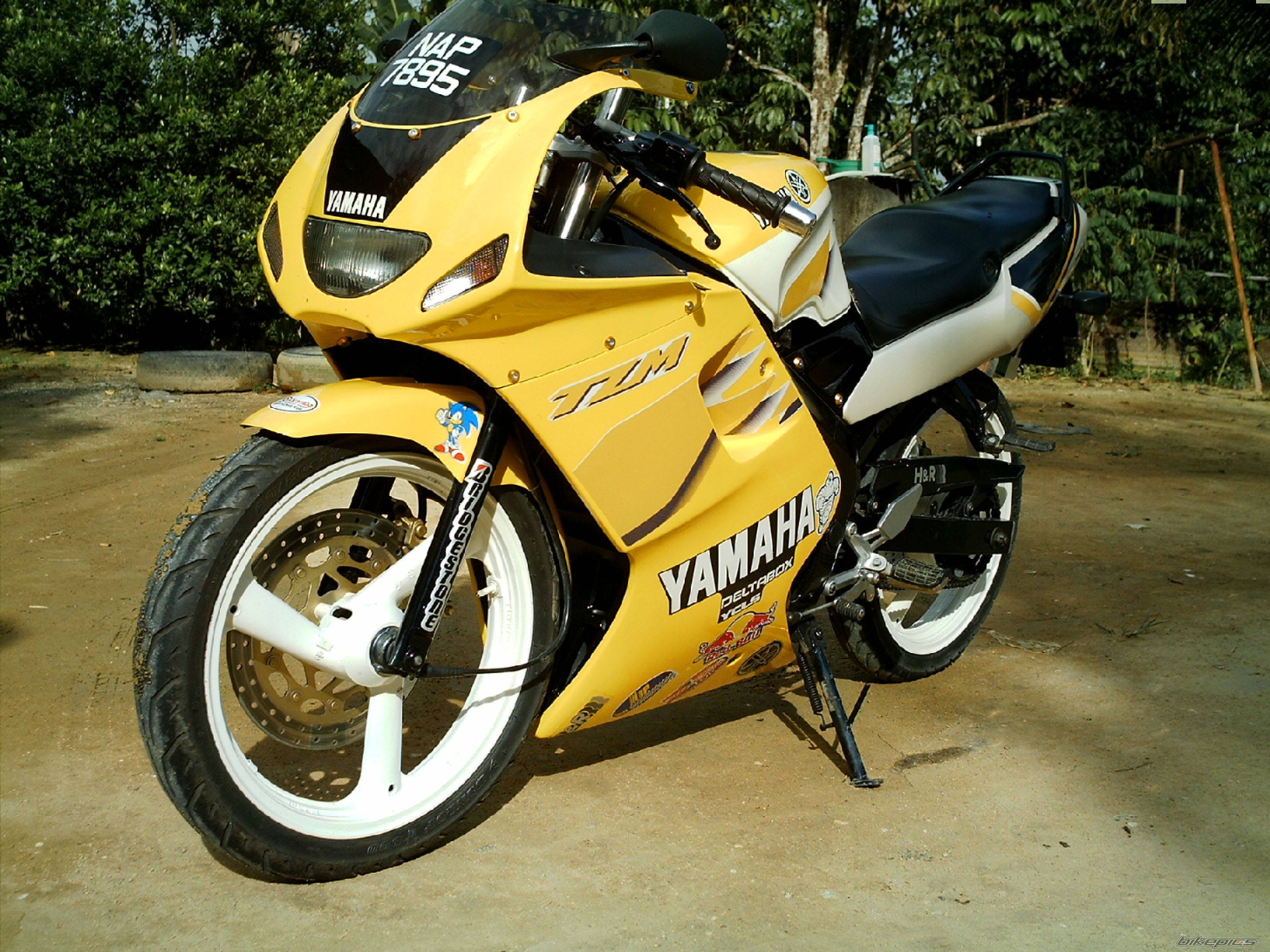 Bike Photo 446728