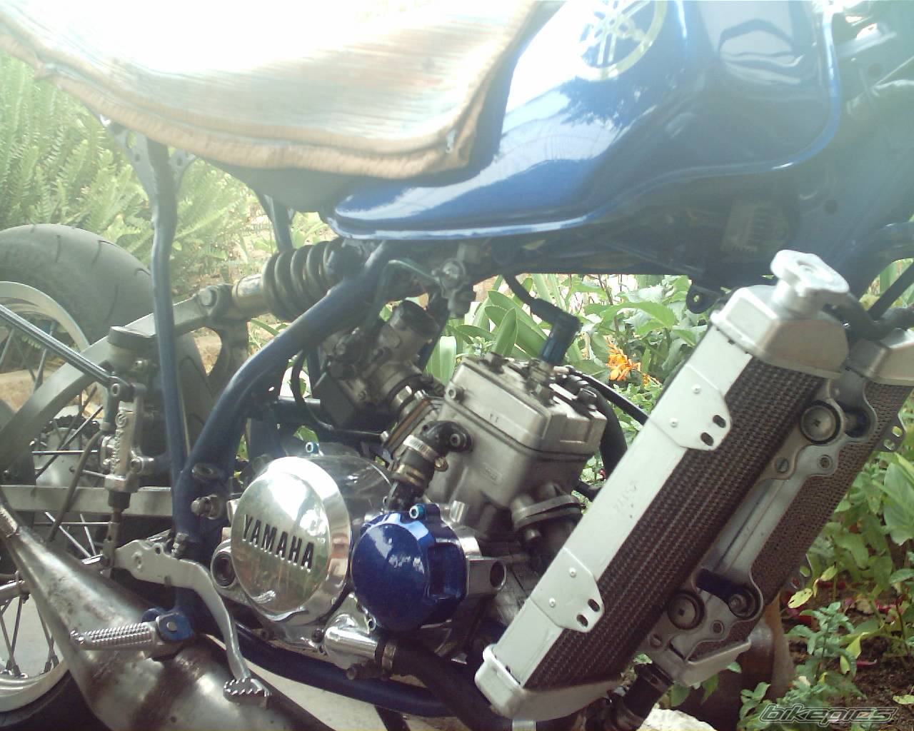 Photo 446799