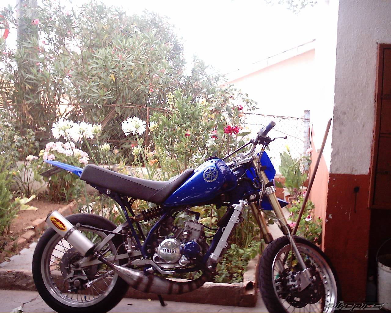 Photo 446808