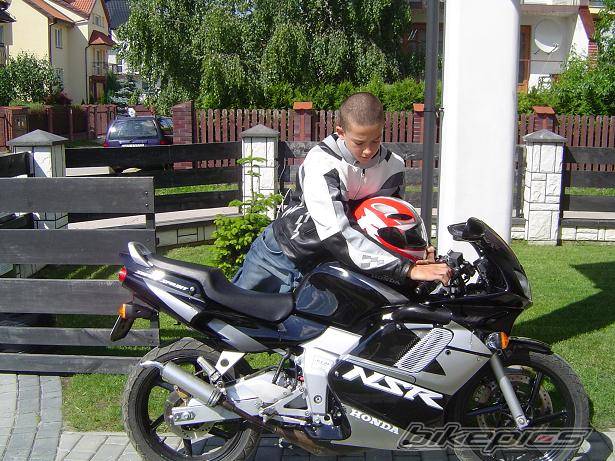 Photo 446830