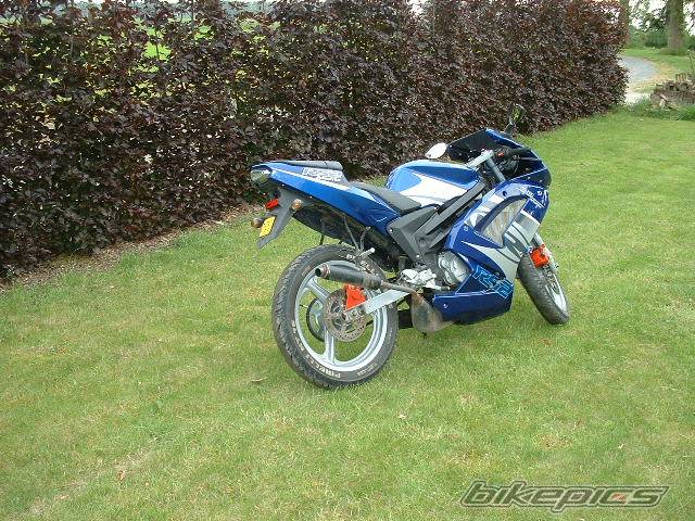 Photo 446842
