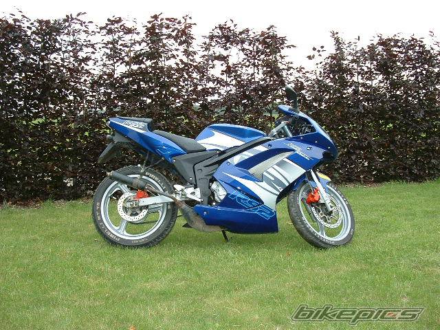 Bike Photo 446850