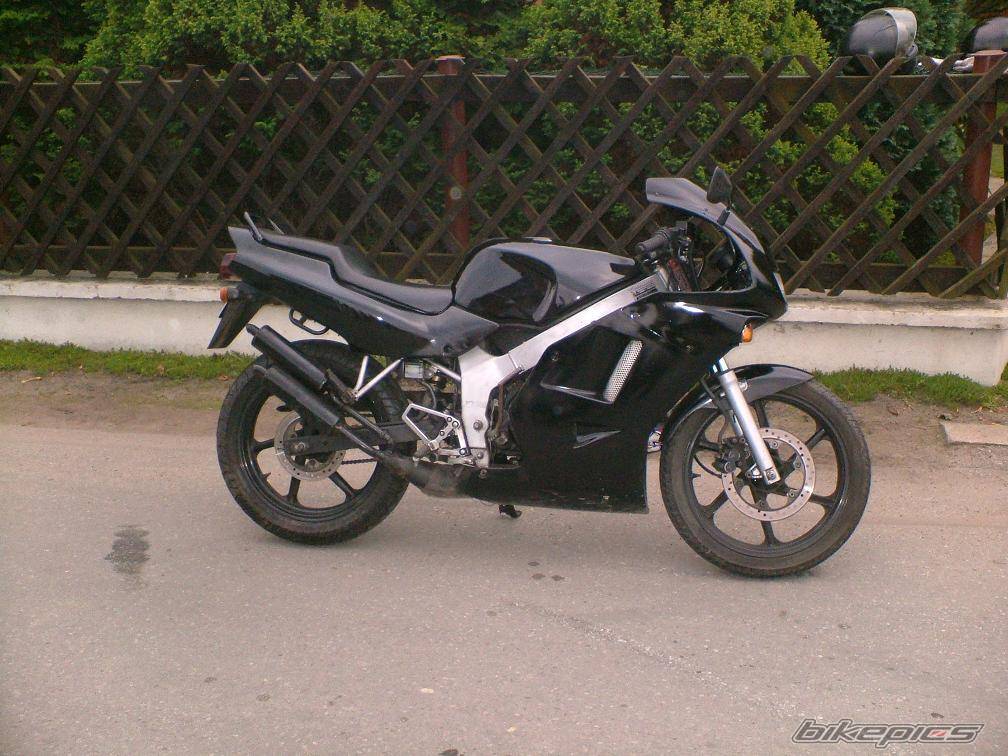 Photo 446870