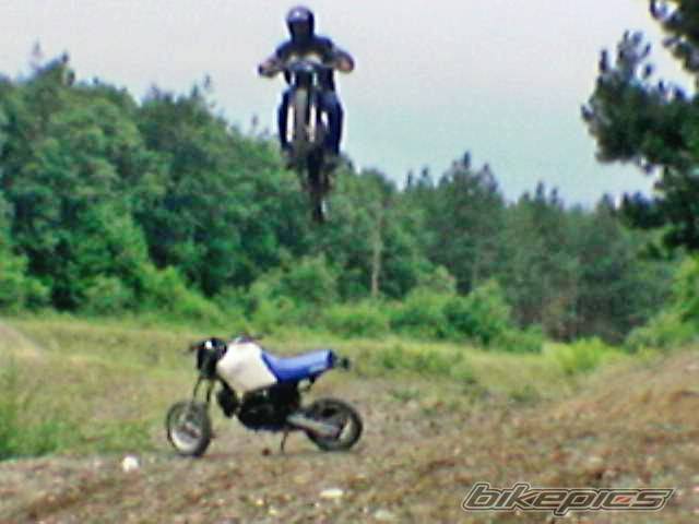 Bike Photo 446946