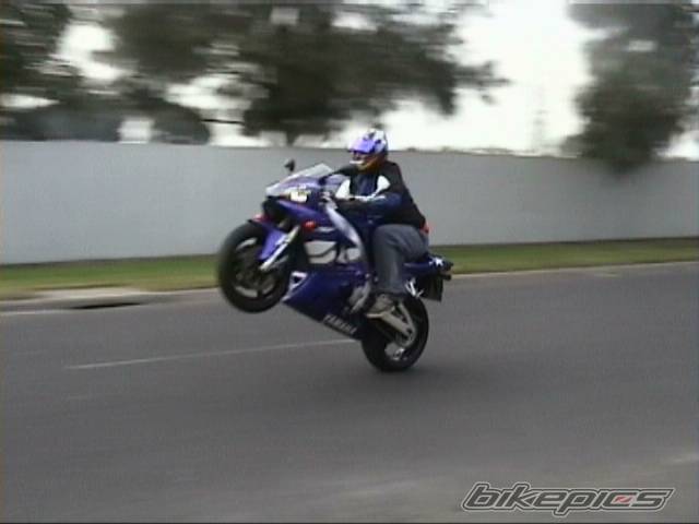 Photo 4470
