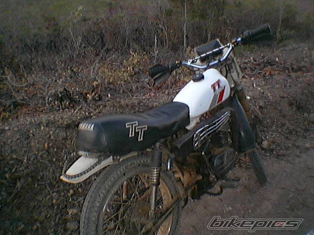Photo 447002