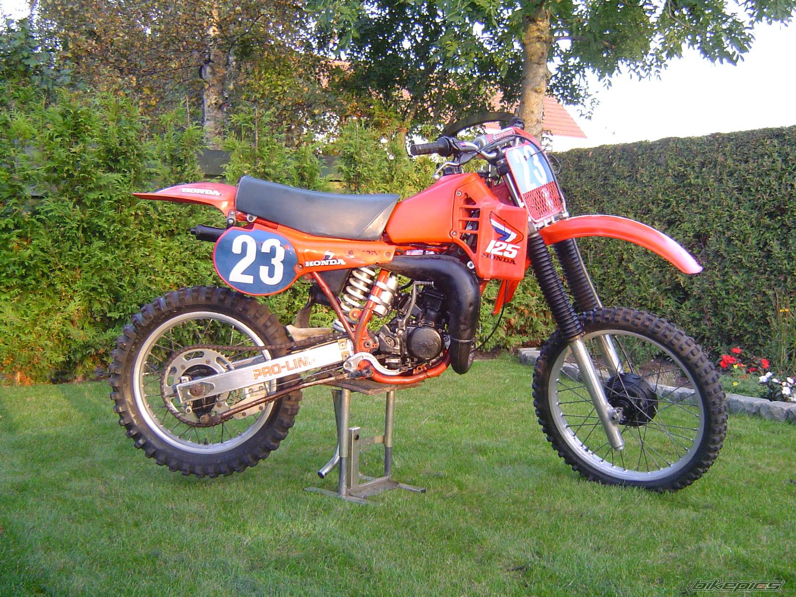 Bike Photo 447120