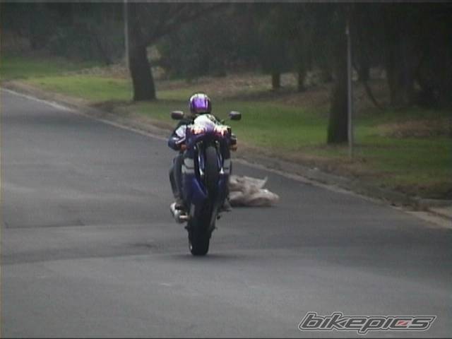 Photo 4472
