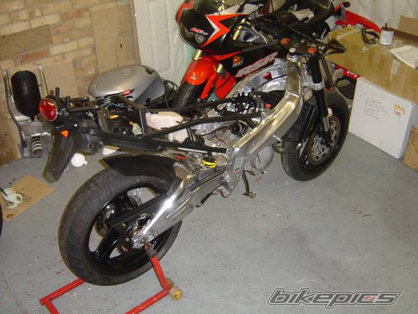 Photo 447270