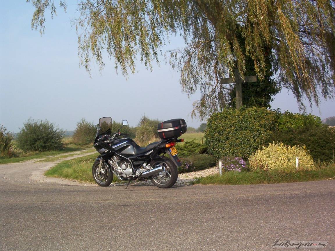 Bike Photo 447278