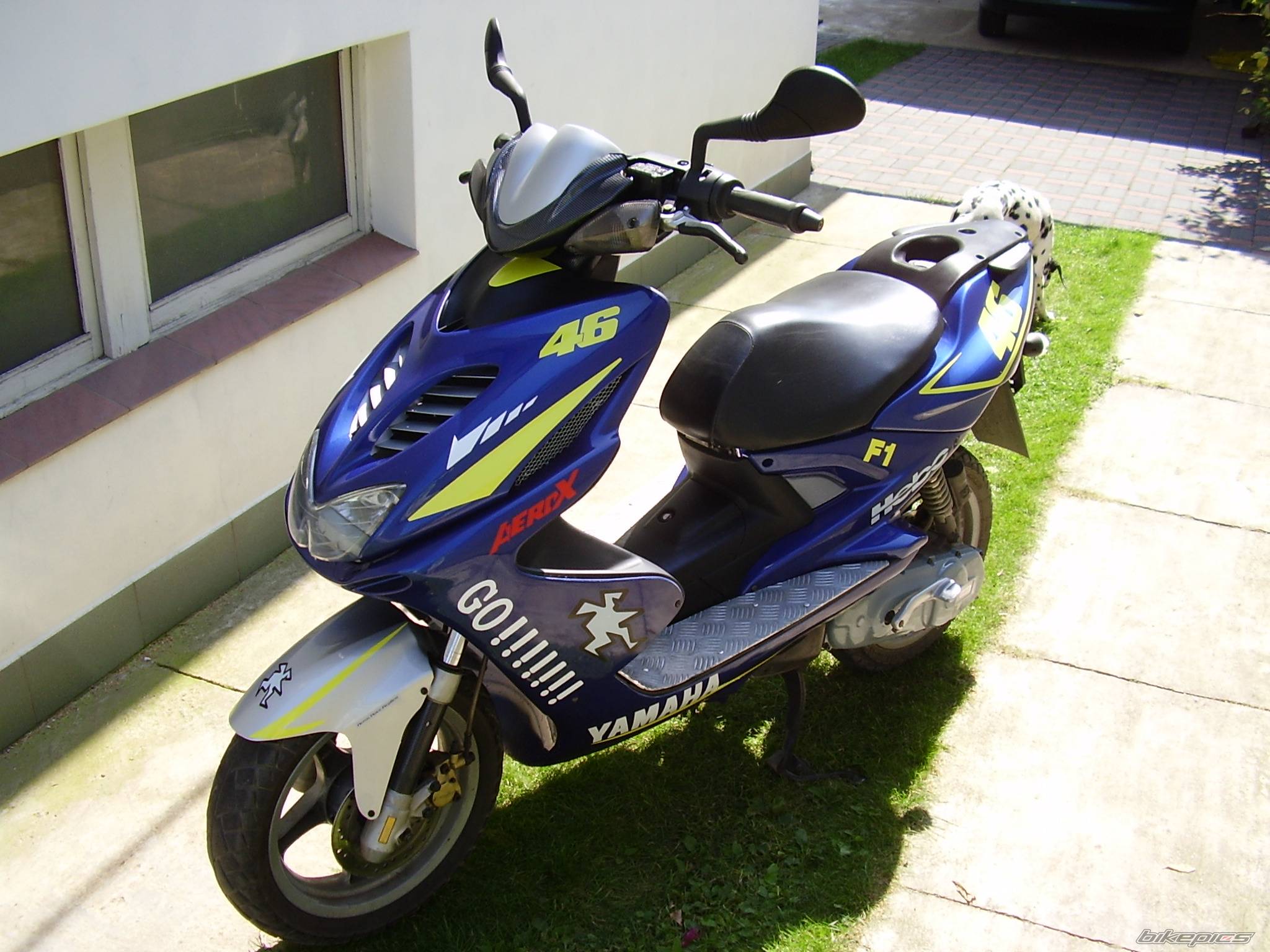 Bike Photo 447377