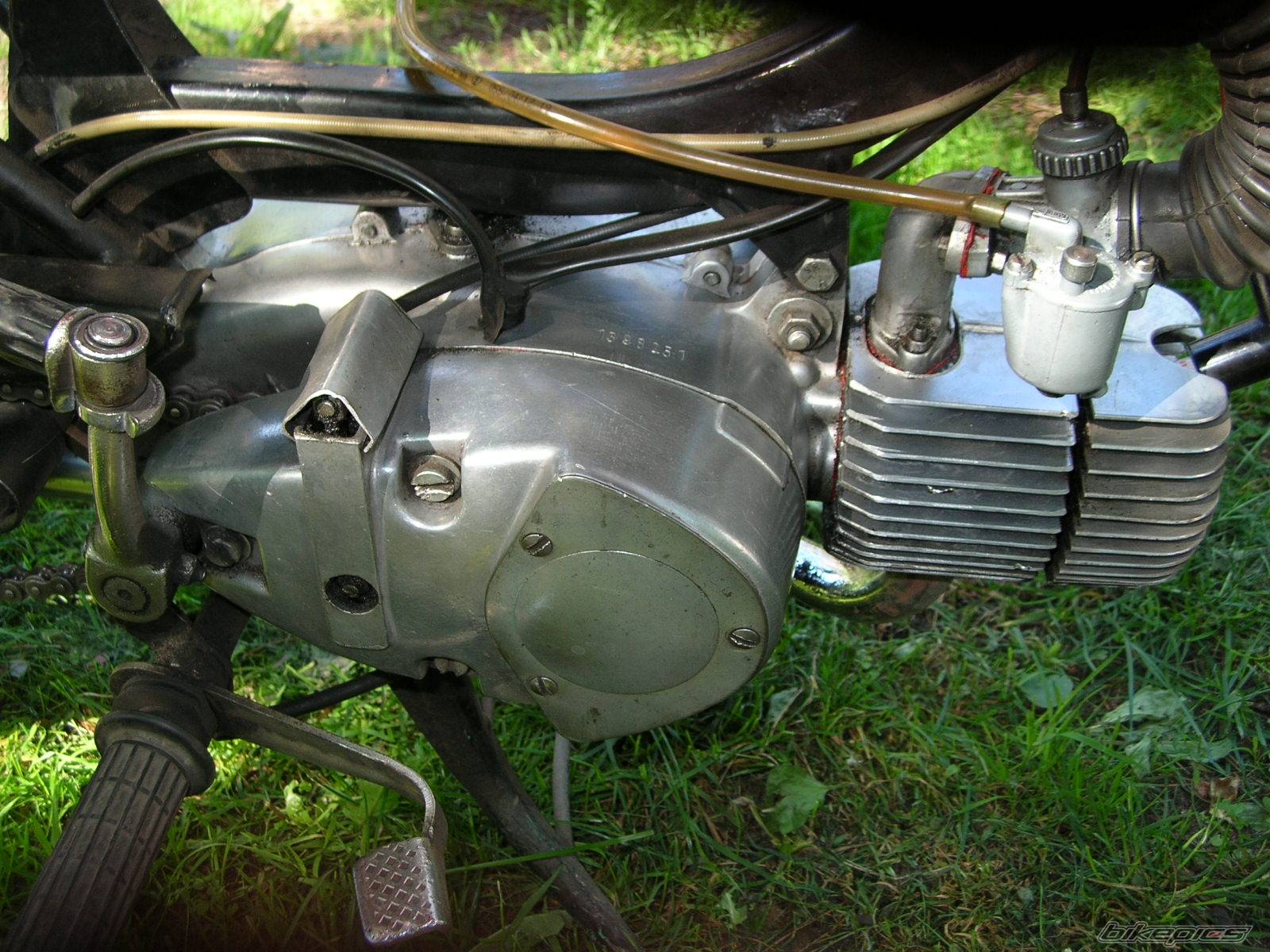 Photo 447384