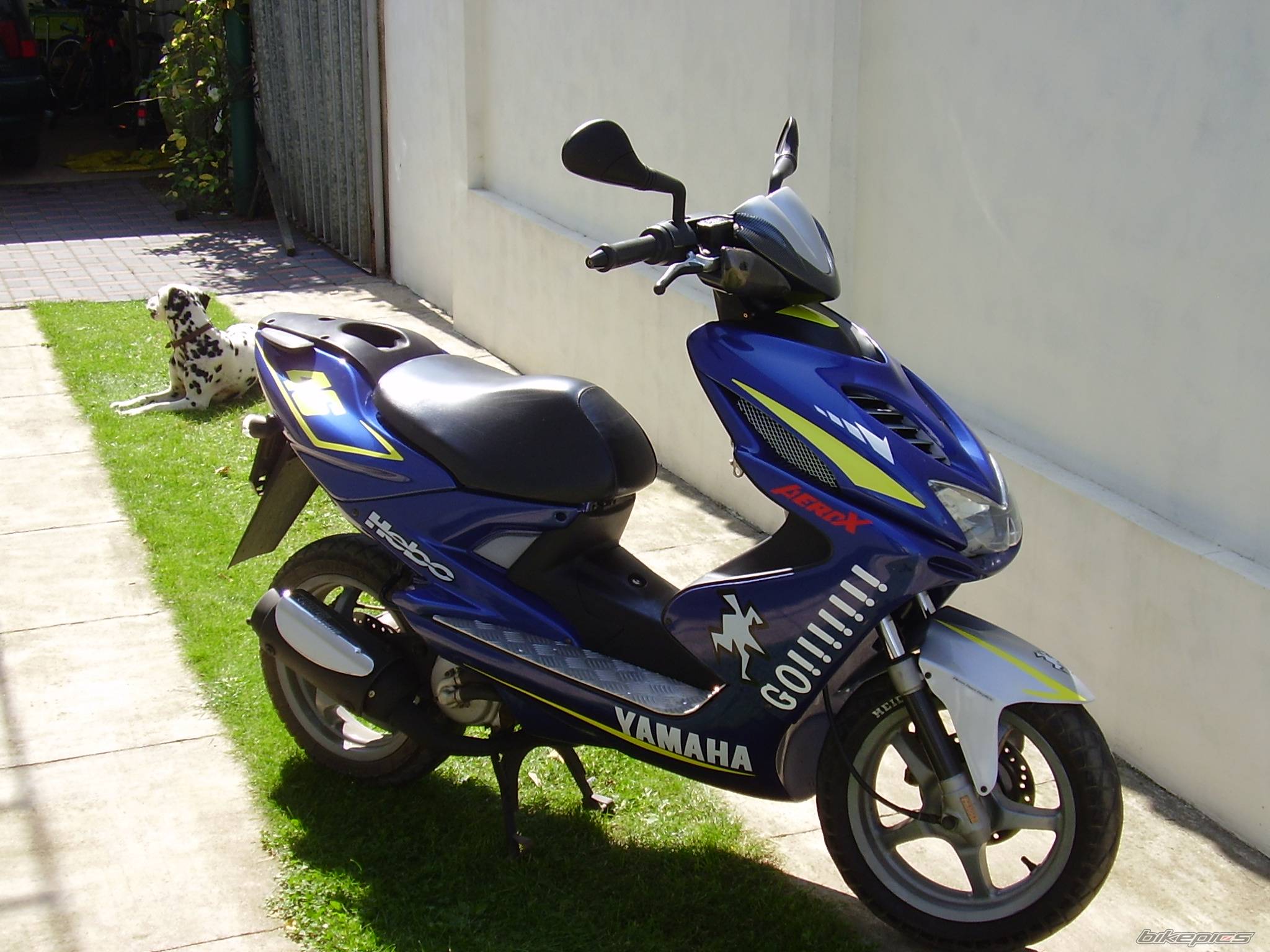 Bike Photo 447411