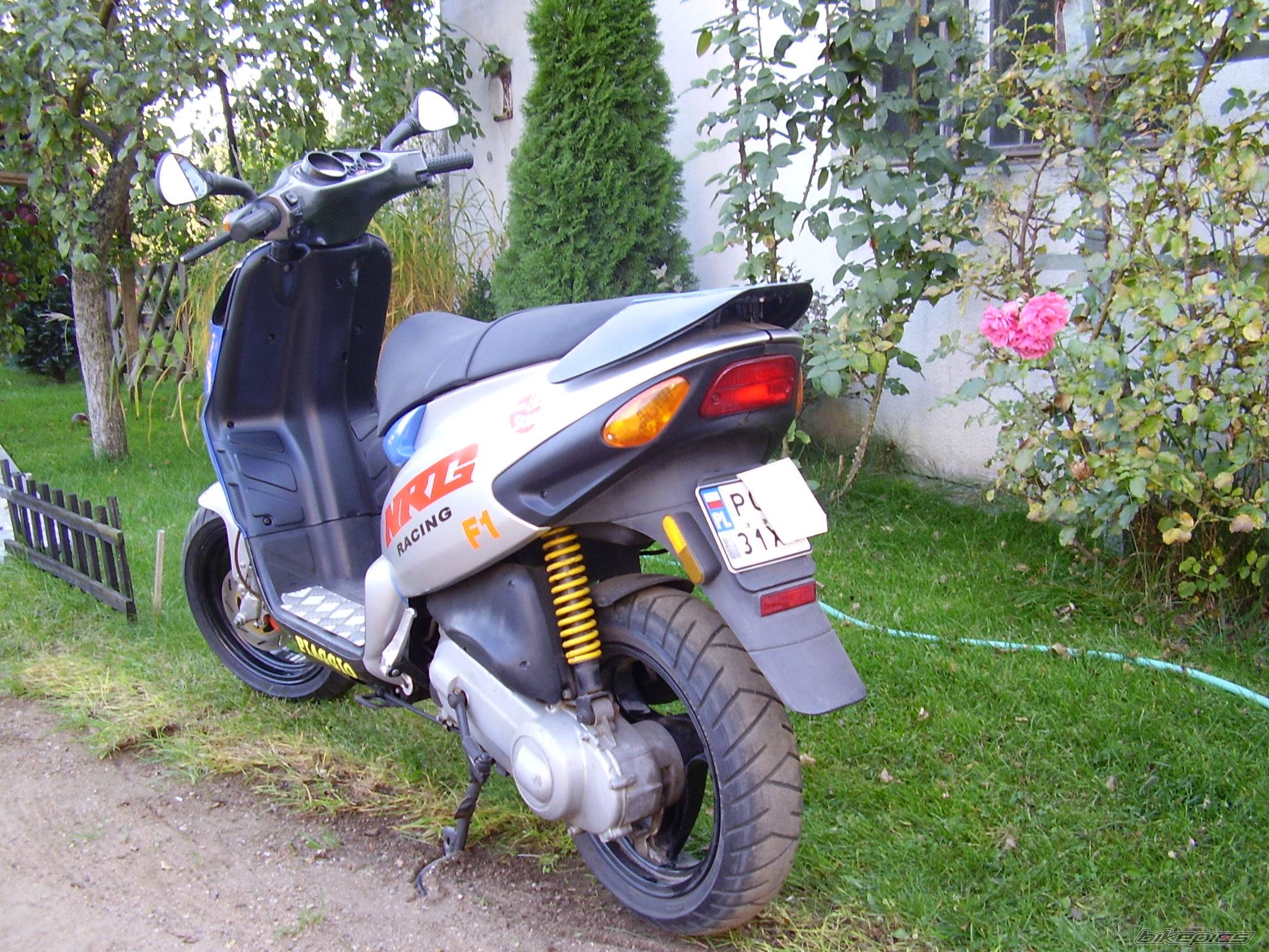 Photo 447422