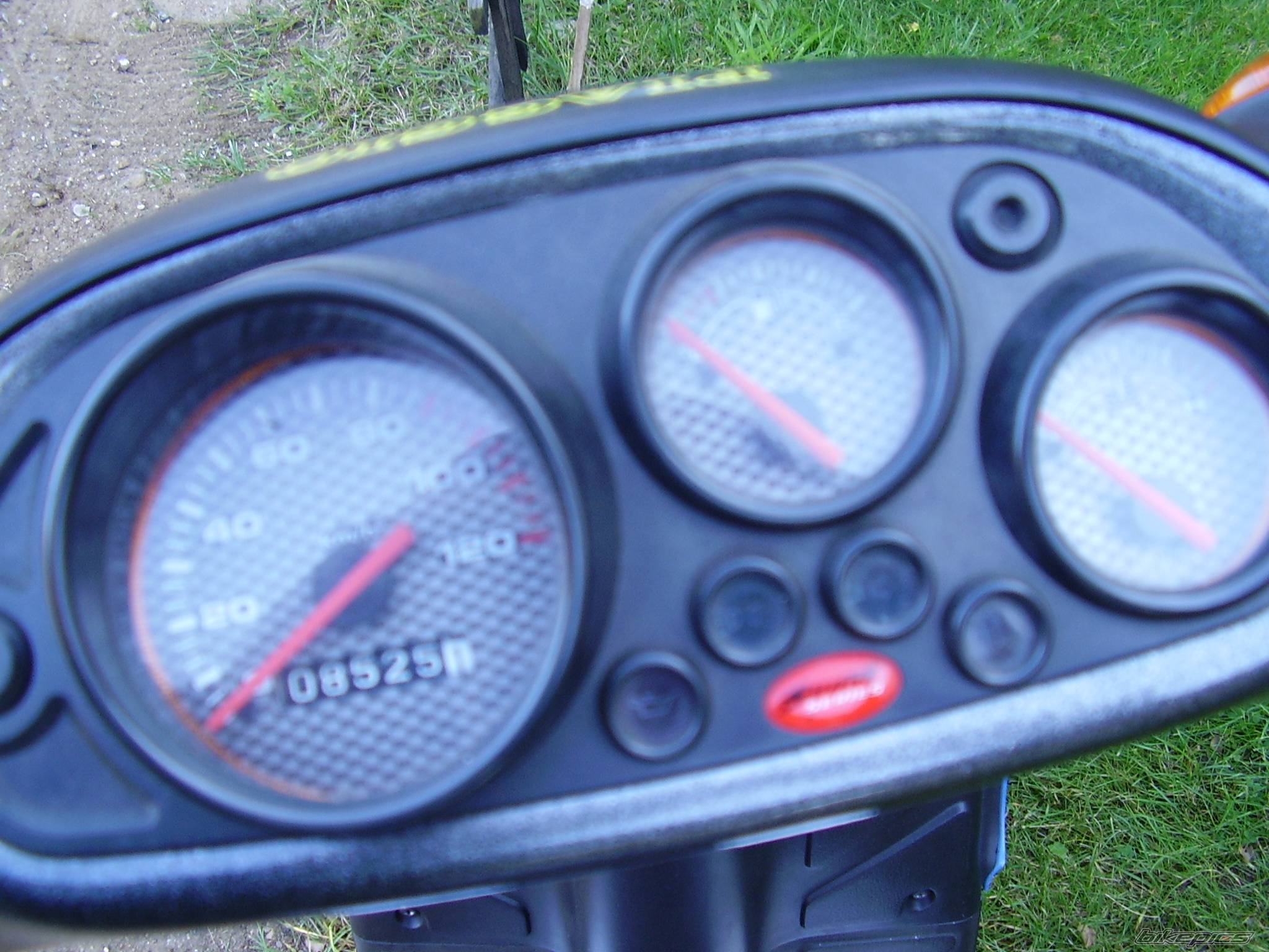 Photo 447424