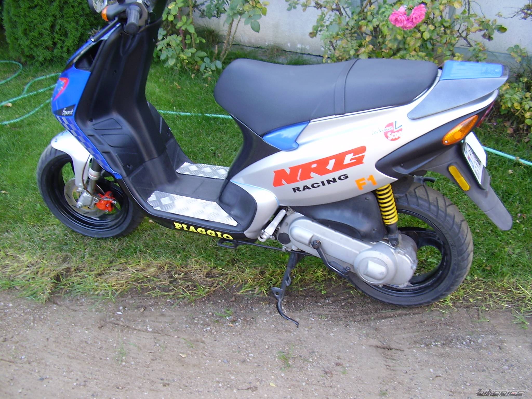 Photo 447425