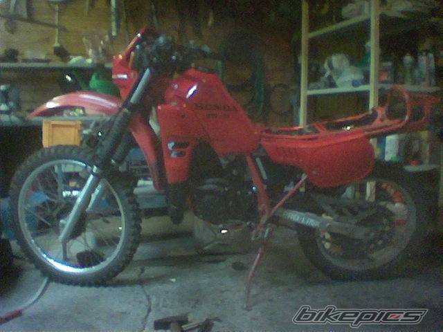 Photo 447437