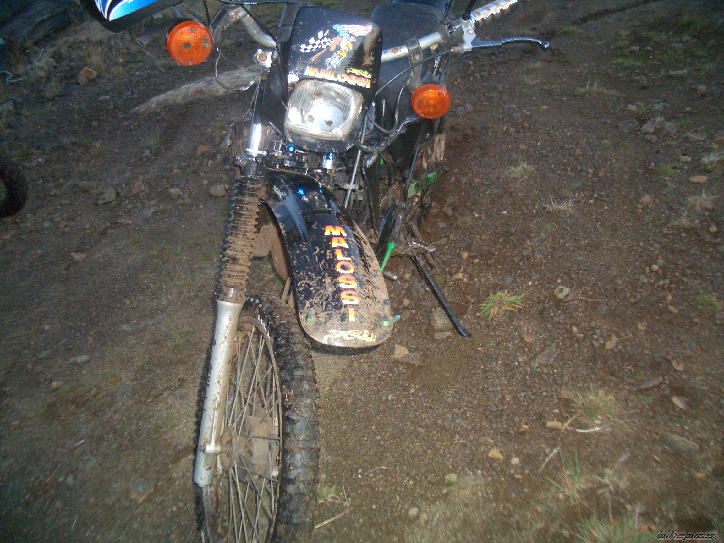 Photo 447438