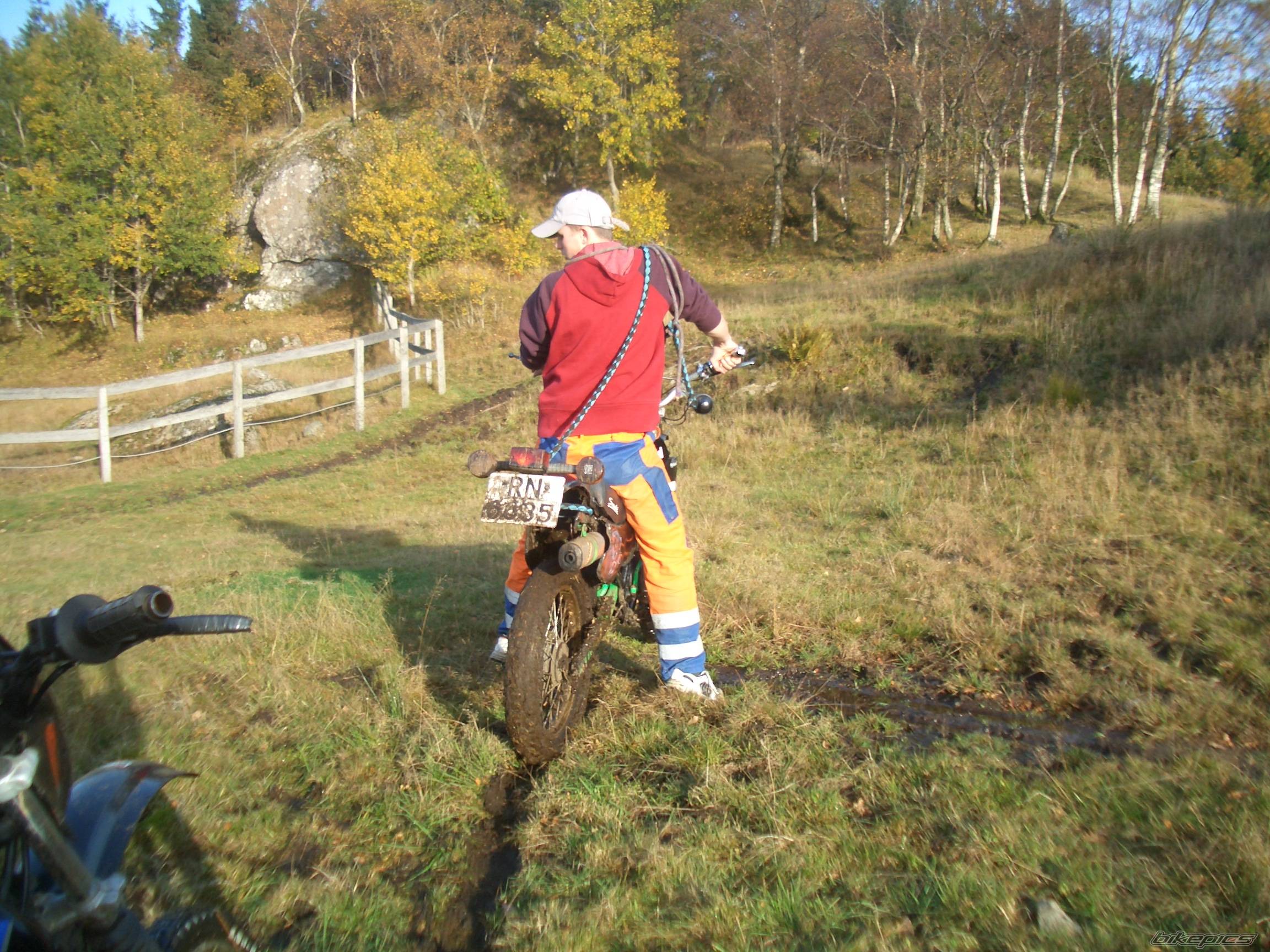 Photo 447439
