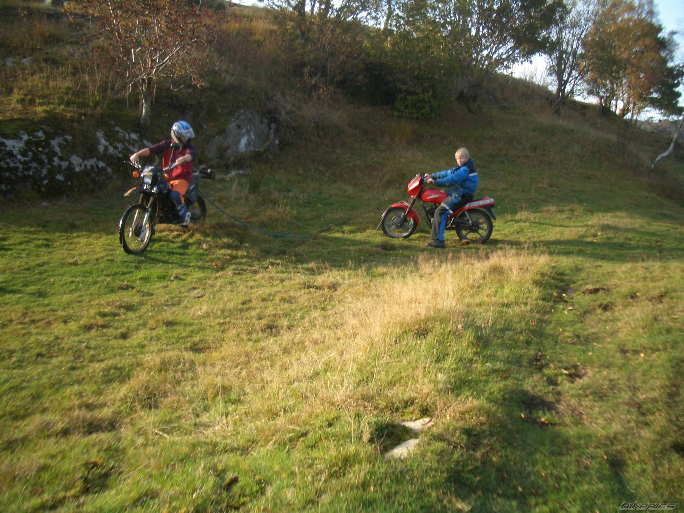 Photo 447442