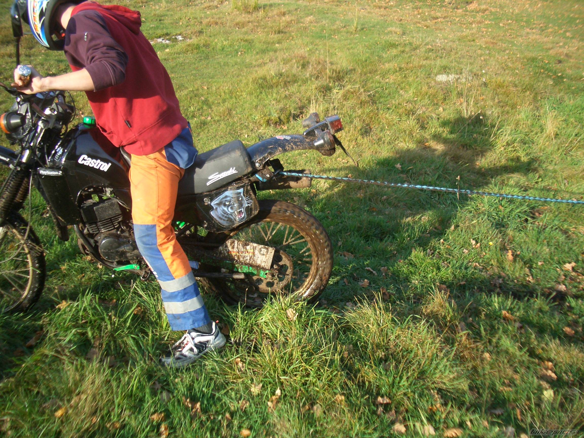 Photo 447446