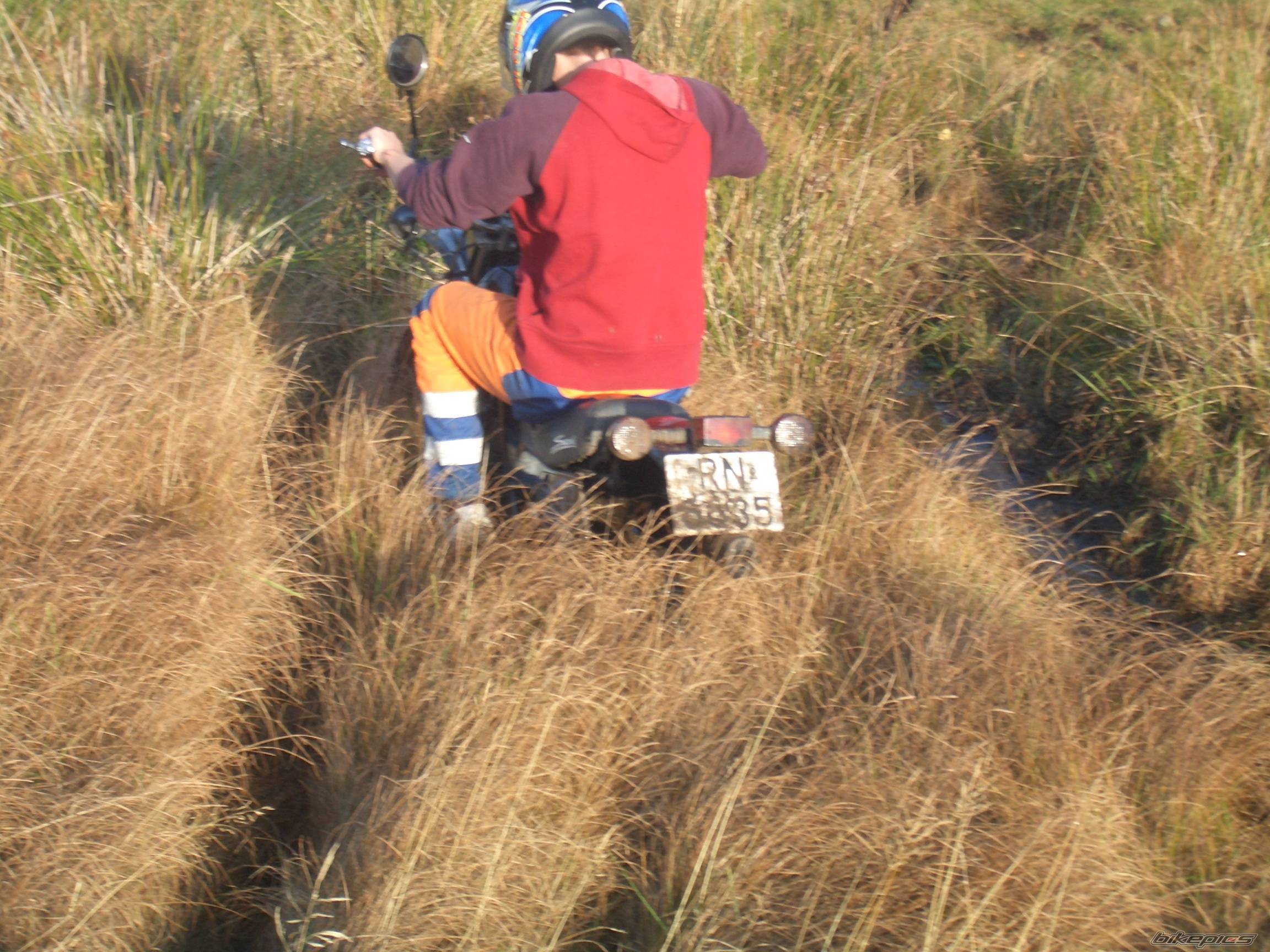 Photo 447447