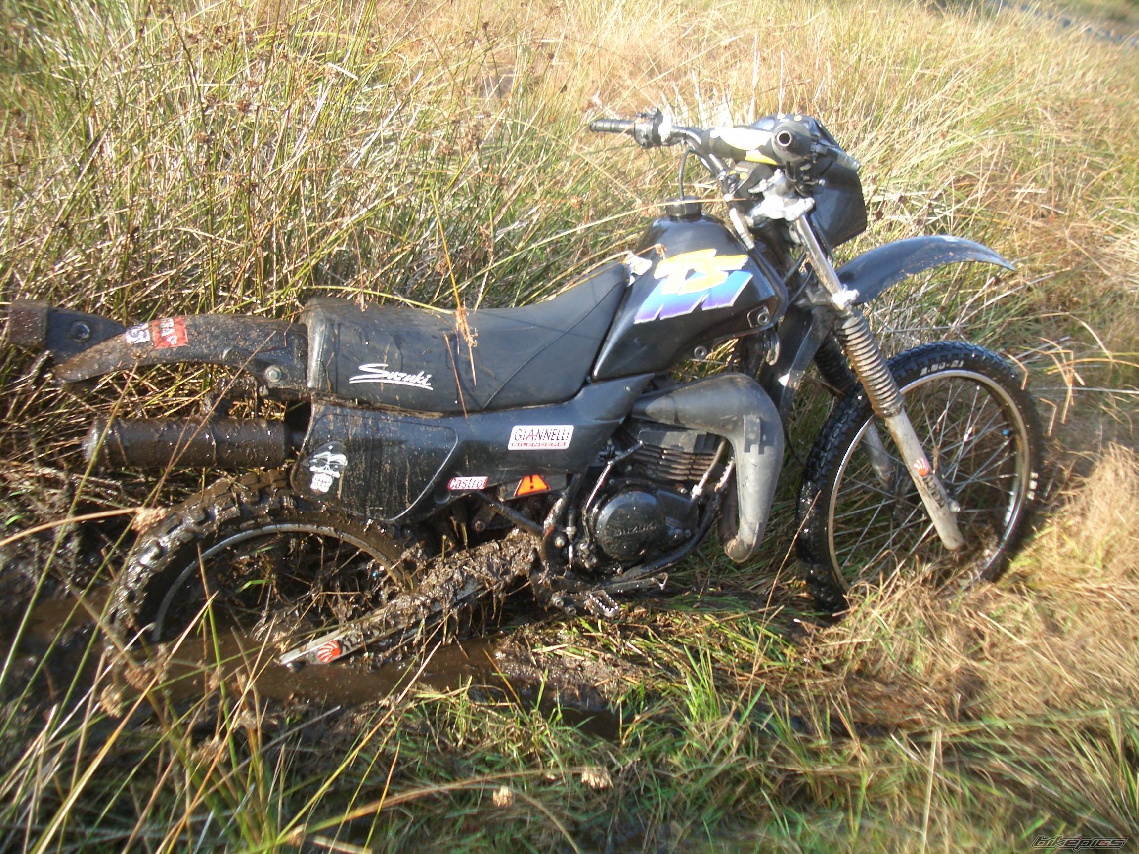 Photo 447489