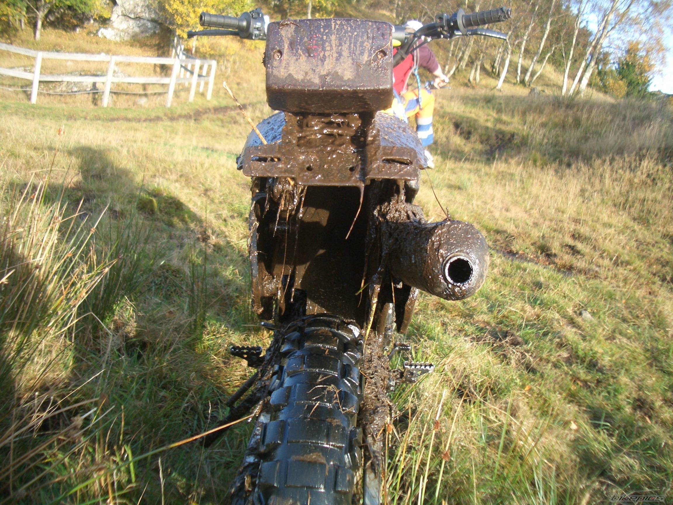 Photo 447499
