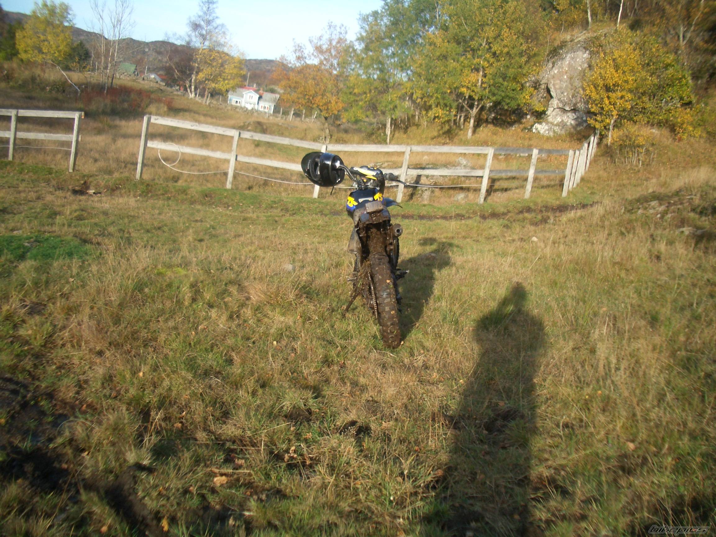 Bike Photo 447500