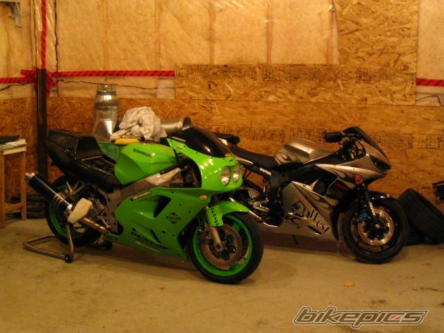 Photo 447525