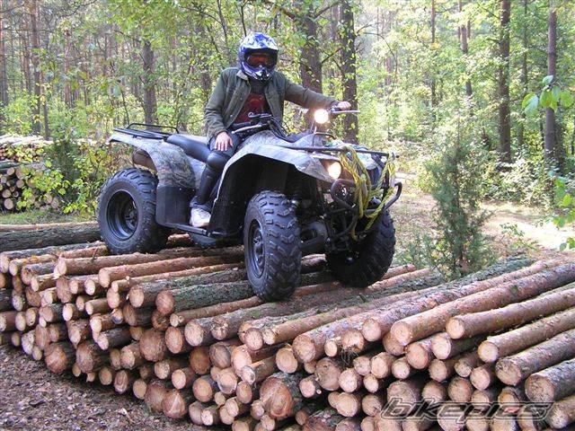 Photo 447587