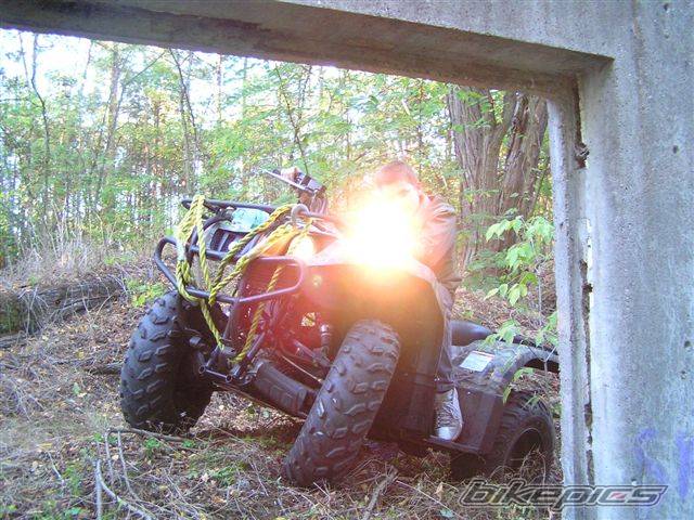 Photo 447590