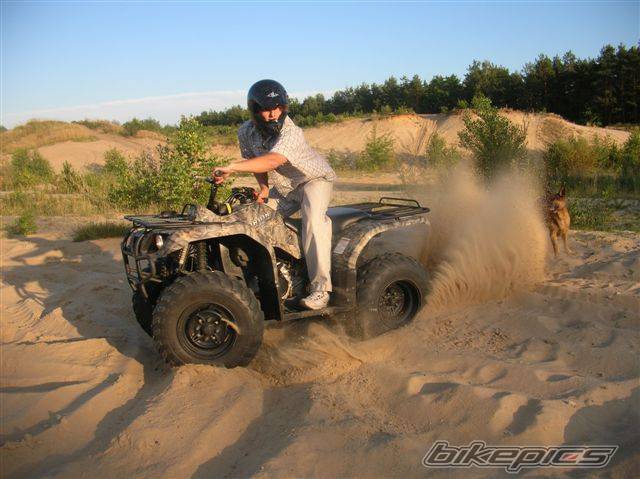 Photo 447612