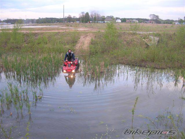 Photo 447621