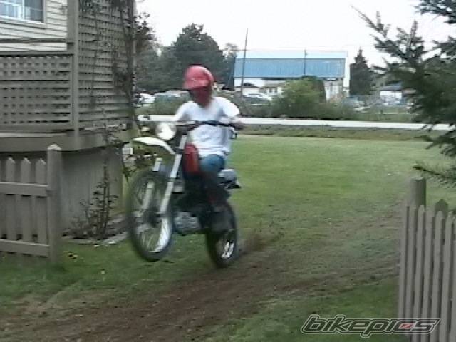 Photo 447639