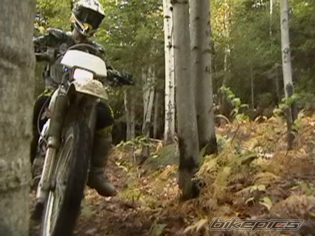 Photo 447643