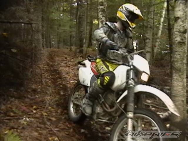 Photo 447644
