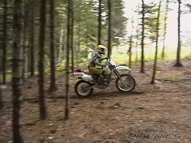 Photo 447645