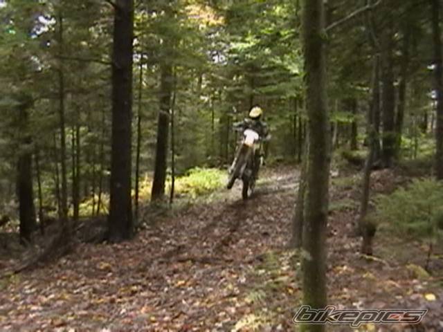 Photo 447646