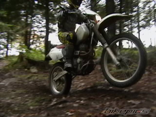 Photo 447648