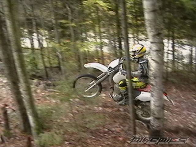 Photo 447654