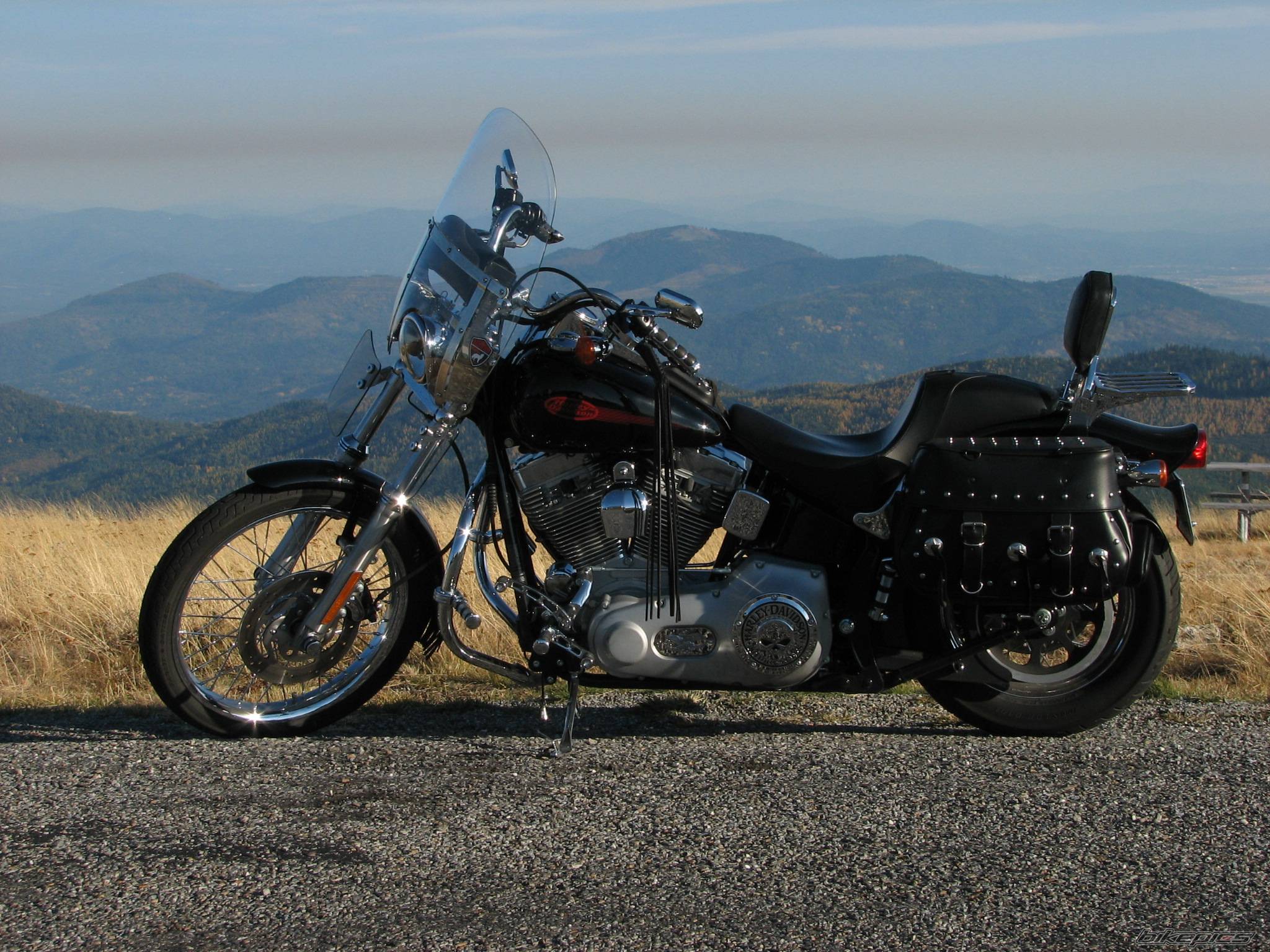 Photo 447693