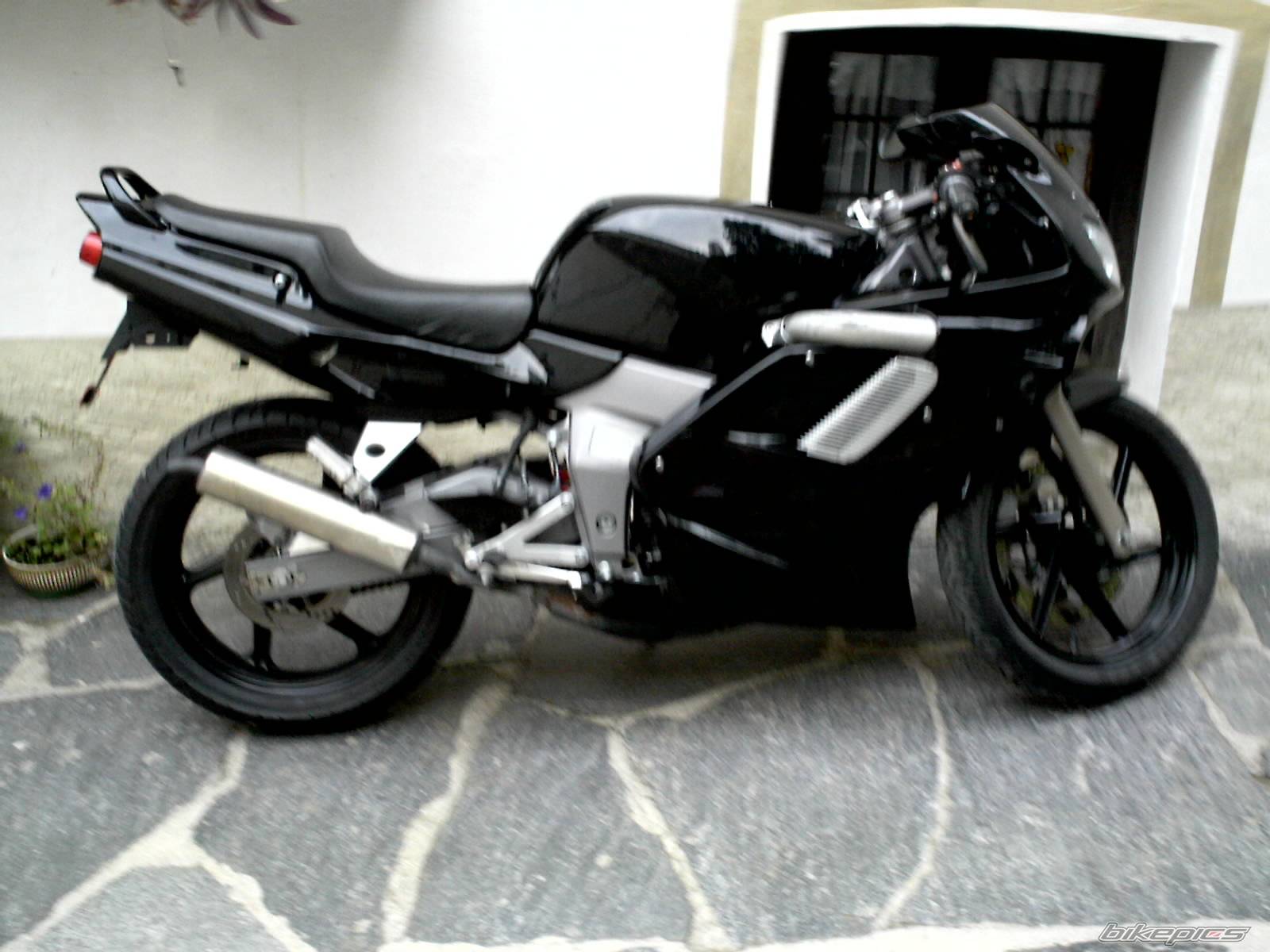 Photo 447759